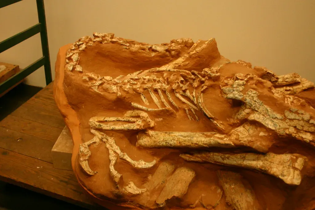 What the Future Holds for Fossil Secrets (Image Credits: Flickr)