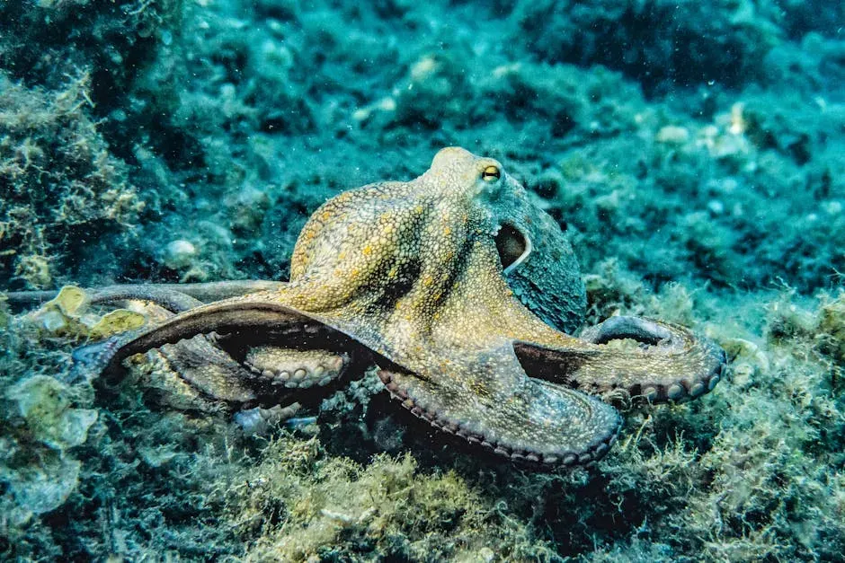 Octopus and Cuttlefish: Skin That Thinks and Sees (Image Credits: Pexels)