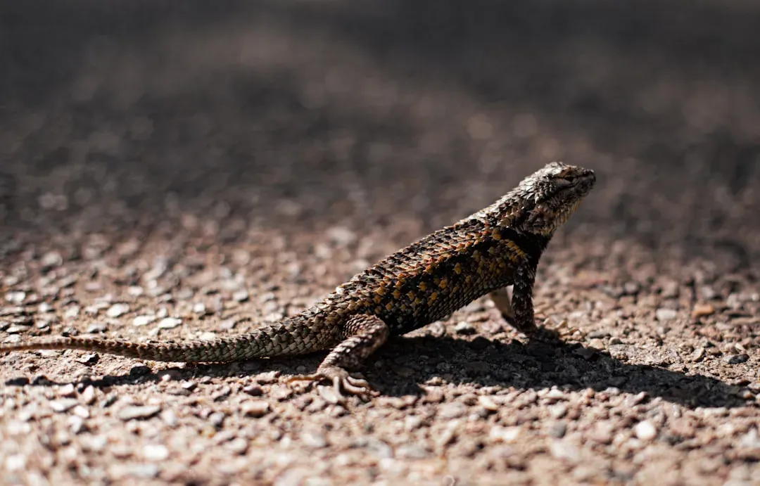 The Hidden Clues: Animals as Desert Commandos (Image Credits: Unsplash)