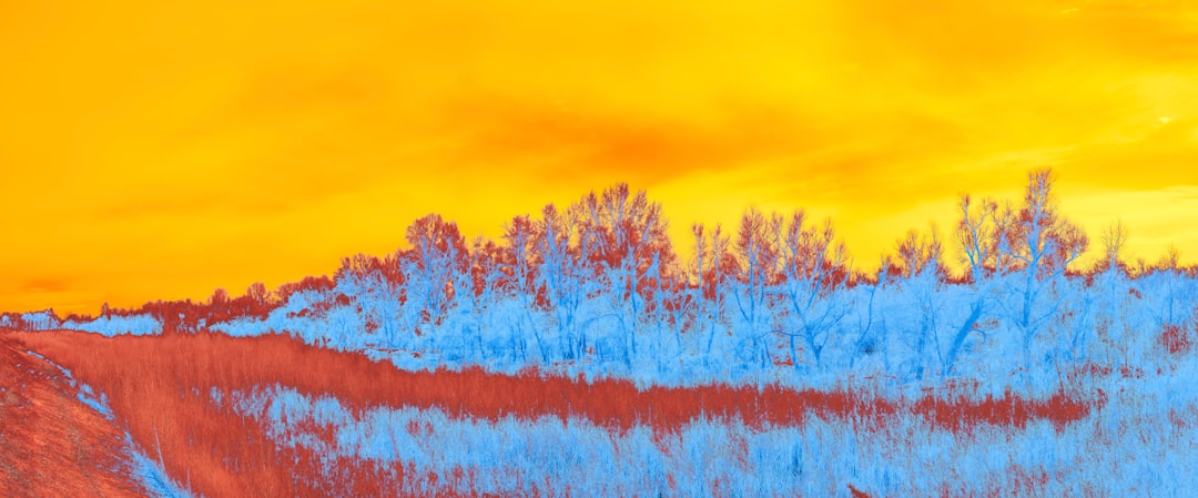 The Future Landscape (Image Credits: Unsplash)