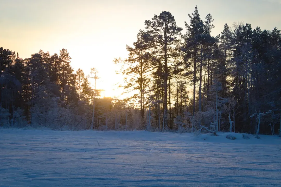 Climate Cycles: Fever, Chills, and Long‑Term Rhythms (Image Credits: Unsplash)