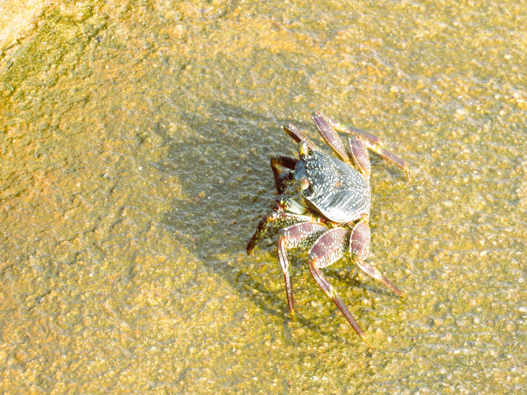 Engineers with Claws (Image Credits: Unsplash)