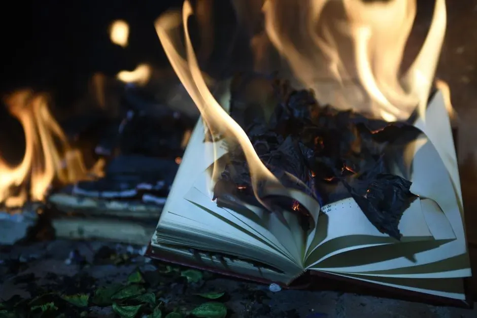5. The Burned Libraries of the Reformation's "Purifying" Zeal (Image Credits: Pexels)
