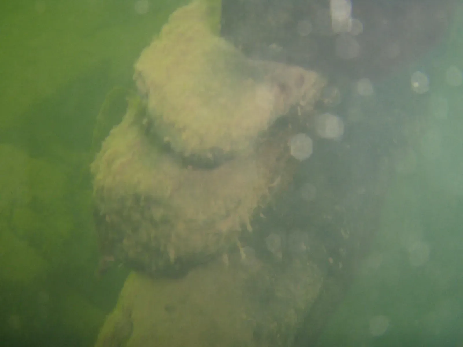 The Cold Water Preserves Dead Bodies Indefinitely (Image Credits: Wikimedia)