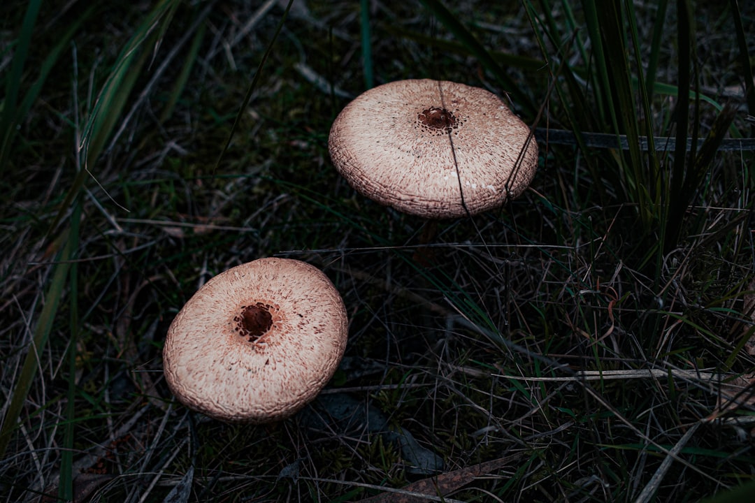 Conclusion (Image Credits: Unsplash)