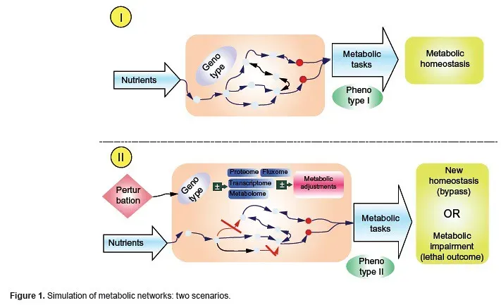 4. Metabolism-First: Networks Before Genes (Libertas Academica, Flickr, CC BY 2.0)