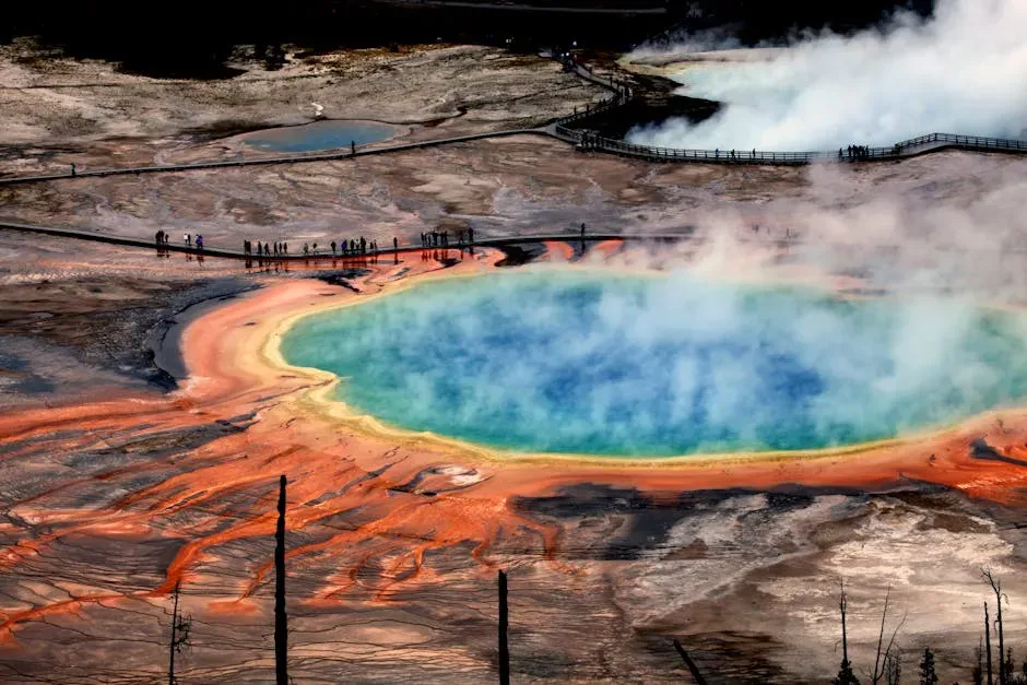 Boiling Hot Springs: Life That Sparked a Revolution in Genetics (Image Credits: Pexels)