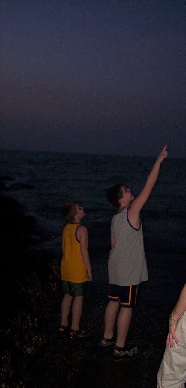 11. How You Can Engage with Space Science (Image Credits: Wikimedia)