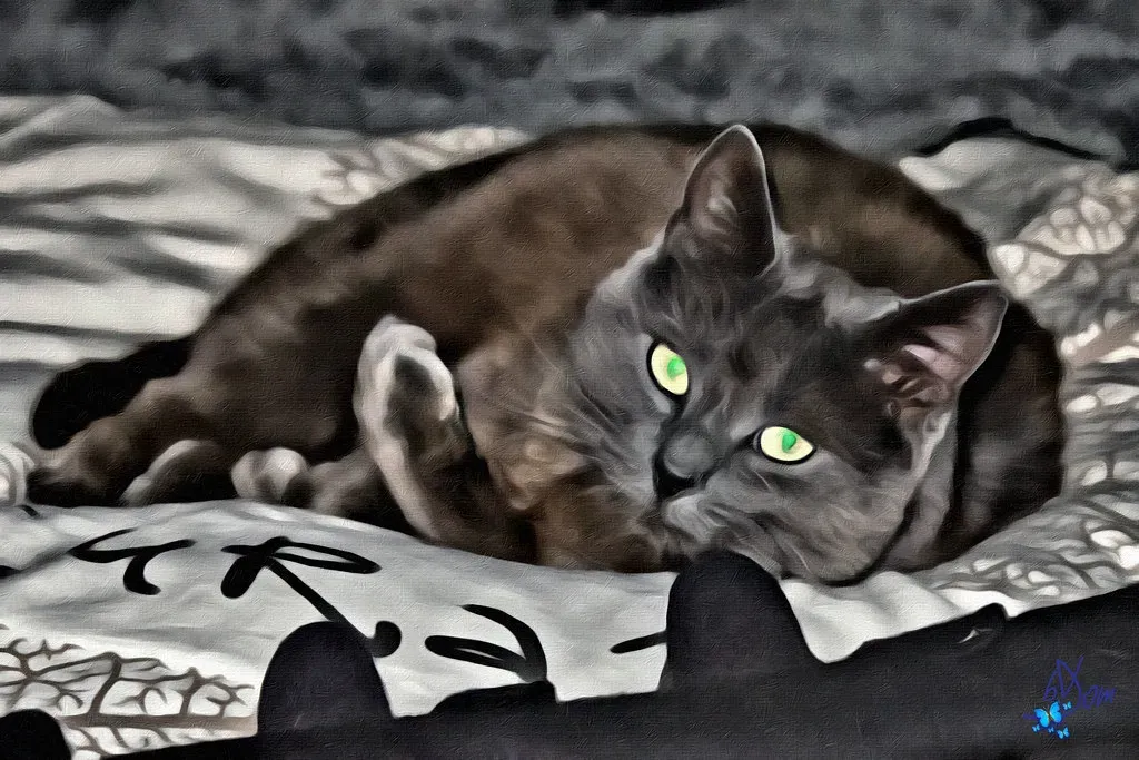 How to Strengthen Your Cat’s Sense of Security Using Sound (bDom - 10.8 Millions de vues - 118.500 photos, Flickr, CC BY 2.0)