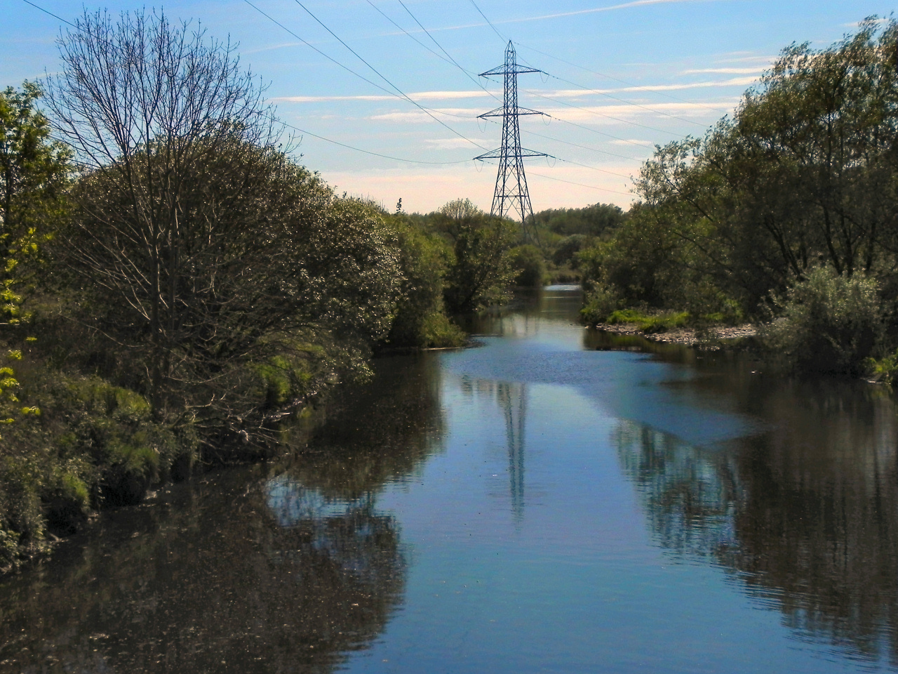 Why It Matters (Image Credits: Wikimedia)