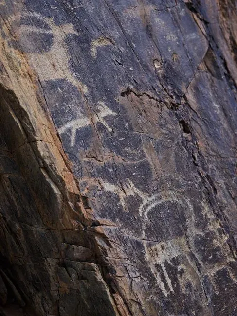 #11 - Cave Bear Engravings Drawn After Local Populations Vanished (Image Credits: Pexels)