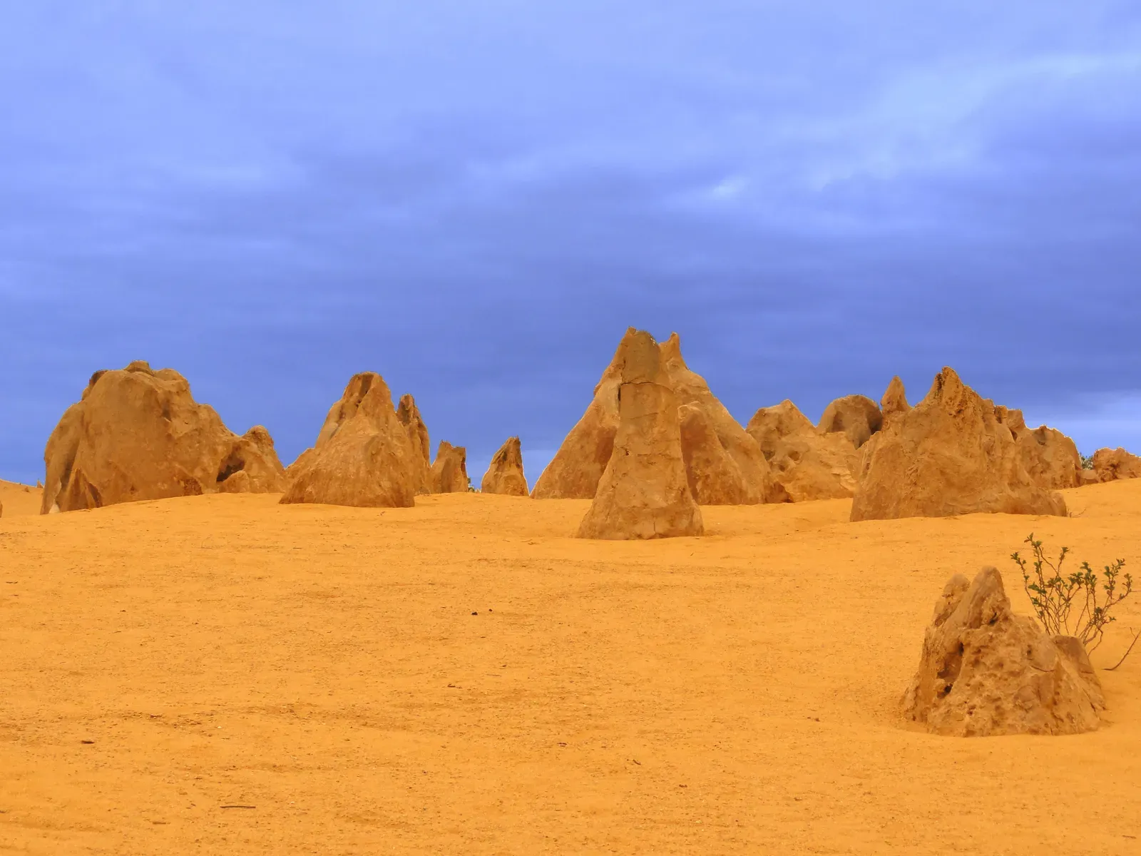 The Pinnacles of Western Australia: A Desert Forest of Stone (Image Credits: Wikimedia)