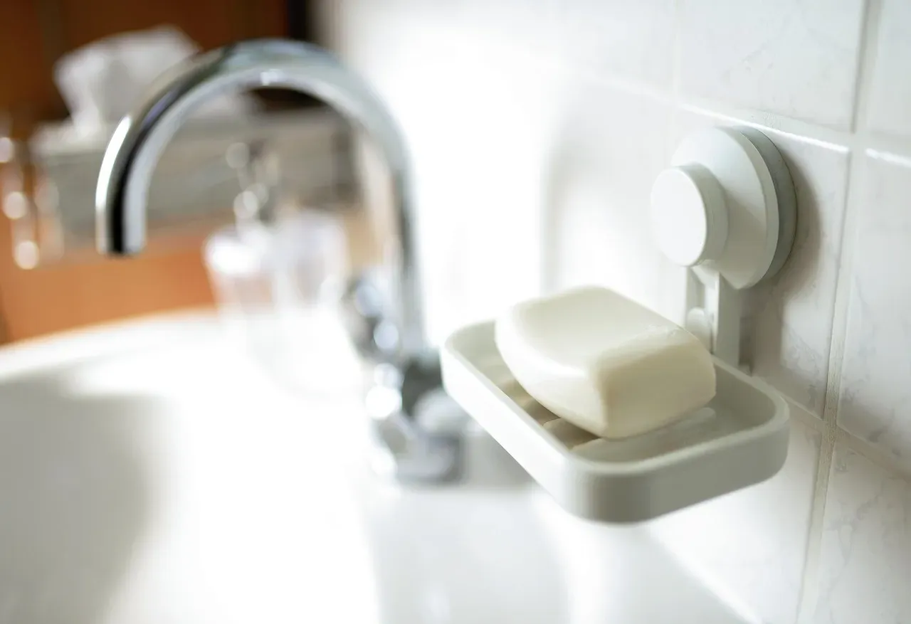 Soap: The Simple Material That Saved Lives (Image Credits: Pixabay)
