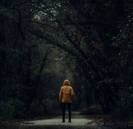 Why Facing the Dark Forest Can Actually Strengthen You (Image Credits: Pexels)