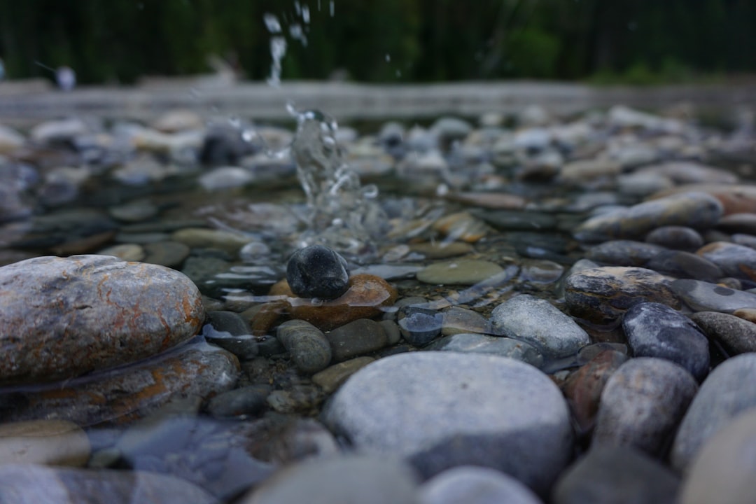 From Ancient Tools to Modern Science (Image Credits: Unsplash)