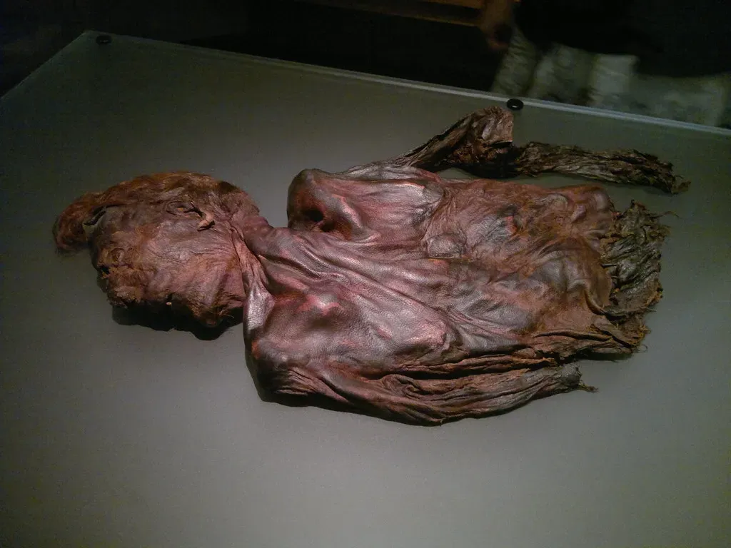 14. Bog Bodies: Naturally Mummified People Preserved for Millennia (markhealey, Flickr, CC BY-SA 2.0)