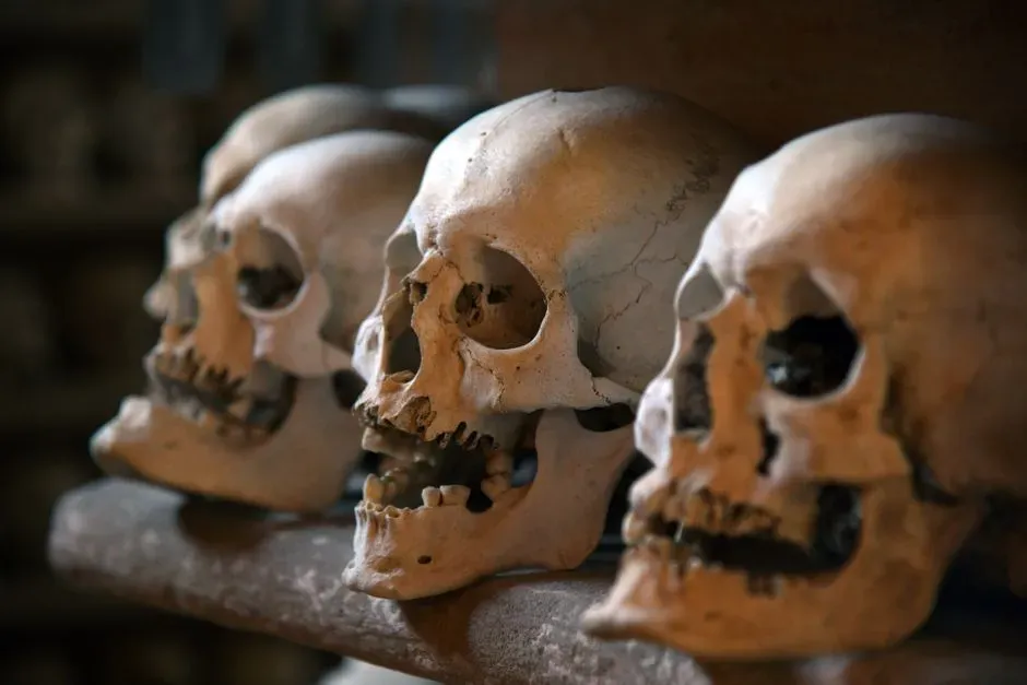 #13 - The London "Roman Walbrook Skulls": From Ritual Victims to Floodplain Casualties (Image Credits: Pexels)