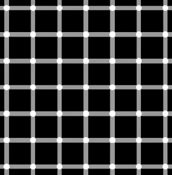 The Scintillating Grid Illusion: Phantom Dots (Image Credits: Wikimedia)