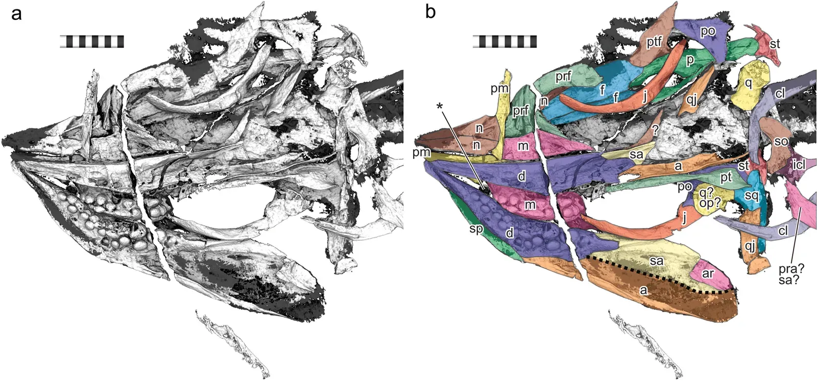 Evolution at the Edge: Bottlenecks and Bursts After Catastrophe (Image Credits: Wikimedia)