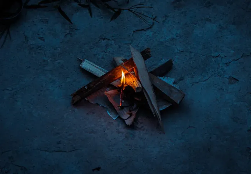 The Discovery of Fire: Humanity’s First Great Technology (Image Credits: Unsplash)