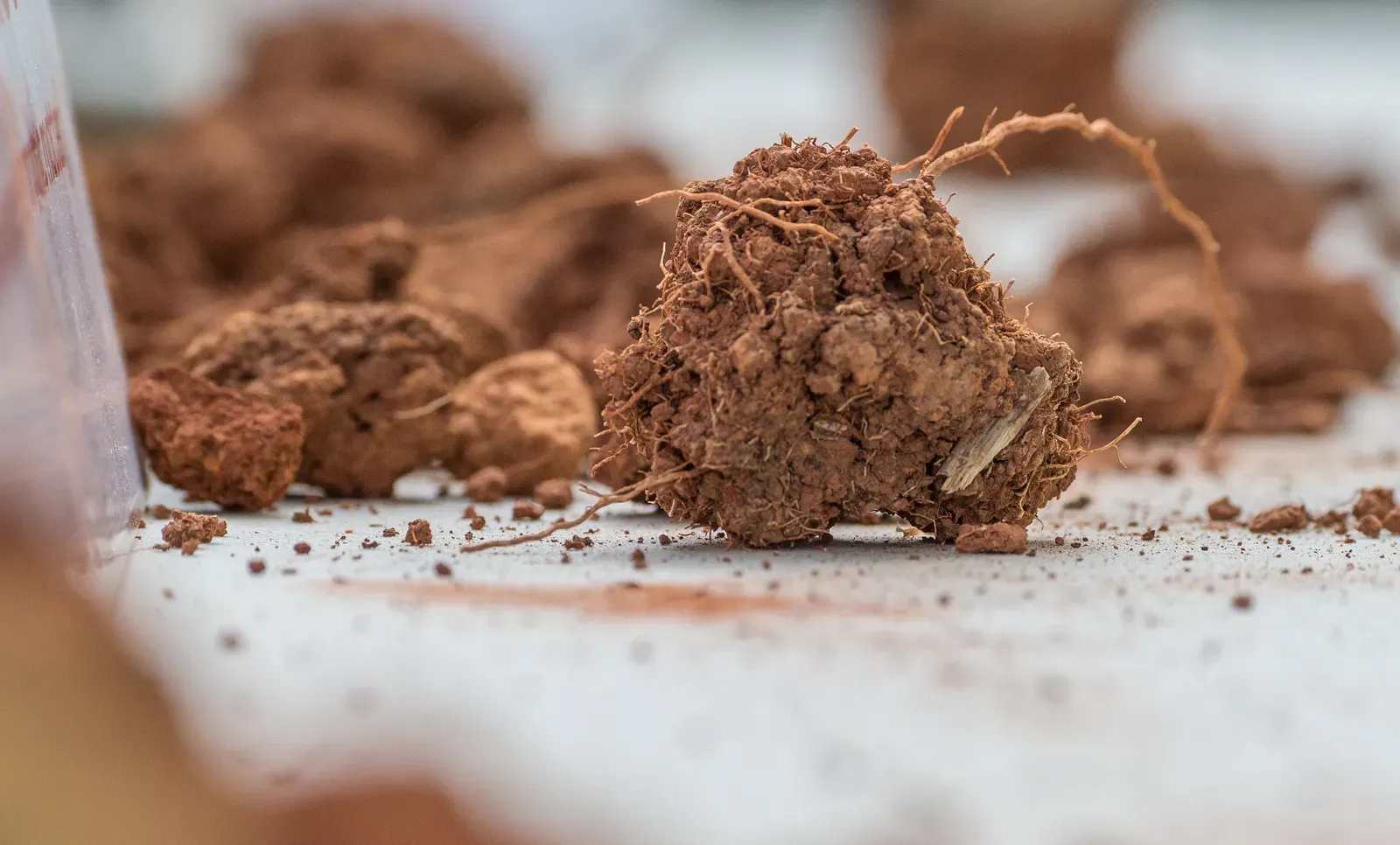 #2 - Soil Structure Determines Root Access to Everything Else (20140918-NRCS-LSC-0184, Public domain)