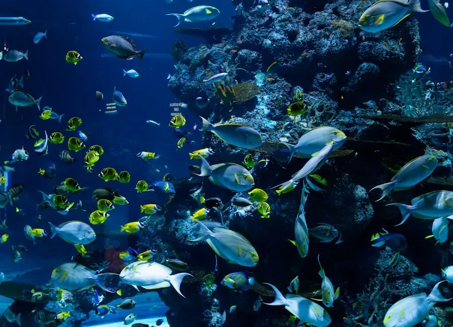 Climate Refugees: Wildlife on the Move and in Conflict (Image Credits: Pexels)