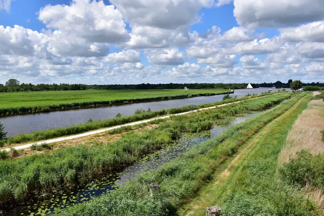 8. Raised Fields and Canals of the Lake Titicaca Basin (Image Credits: Unsplash)