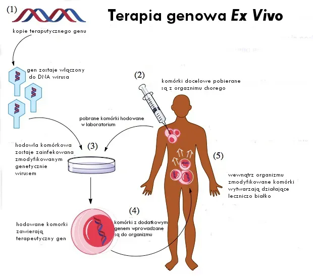 Editing the Body: Diseases on the Front Line (Image Credits: Wikimedia)