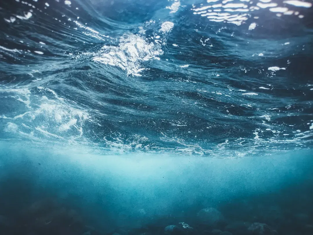 #11 - Long, Droning Tones That Don't Match Any Known Propeller (Image Credits: Unsplash)