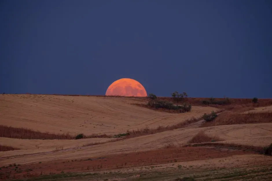 Moon Illusion: Why The Moon Looks Huge Near The Horizon (Image Credits: Pexels)