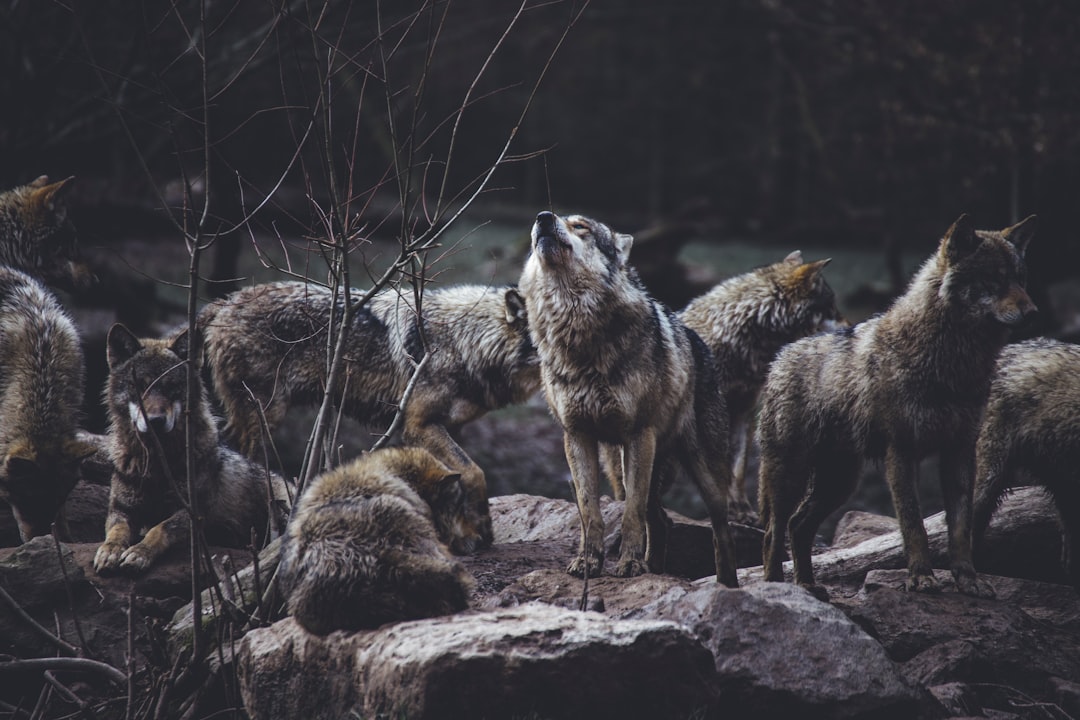 The Deschutes County Pioneer Story (Image Credits: Unsplash)