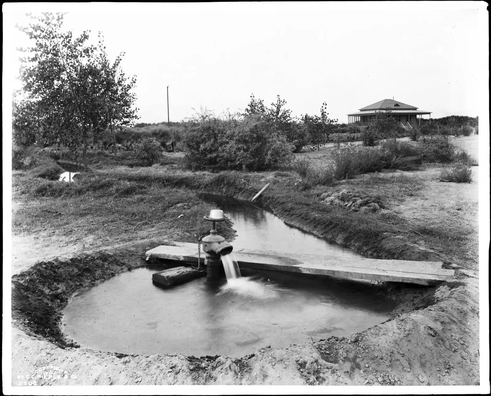 Desert Irrigation and the Science of Scarcity (Image Credits: Wikimedia)