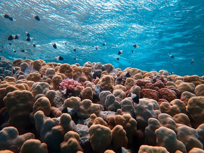 The Ocean's Microbial Engine (Image Credits: Pexels)