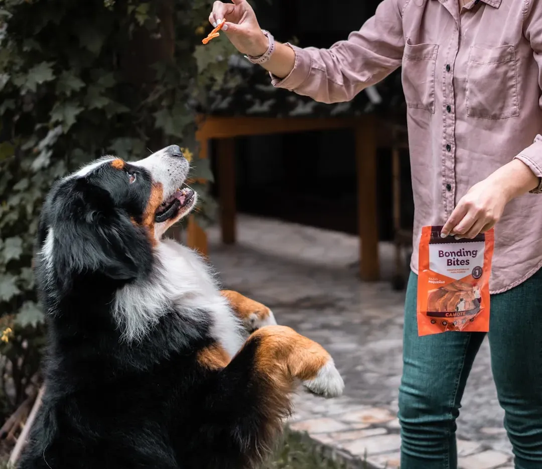 #5 Rewards, Reinforcement, and Accidental Favoritism (Image Credits: Unsplash)