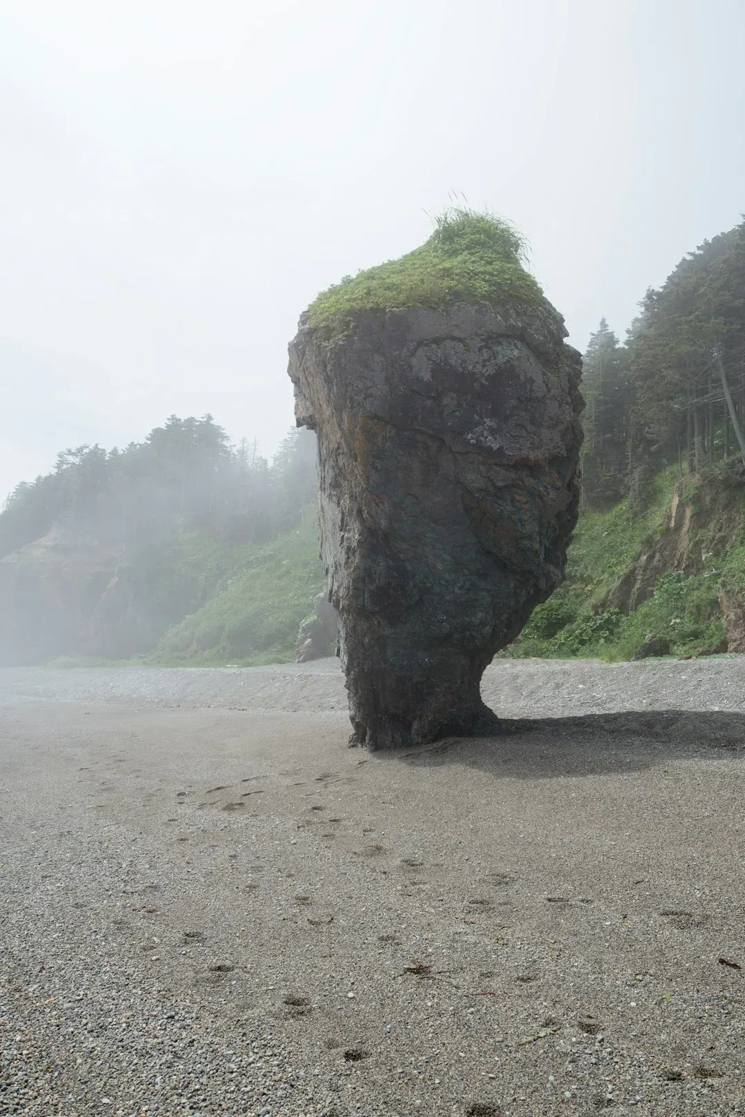 No Living Memory, No Warning Signs (Image Credits: Unsplash)