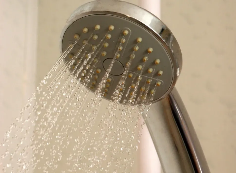 From Sink and Shower to the Sewer Network (Image Credits: Rawpixel)