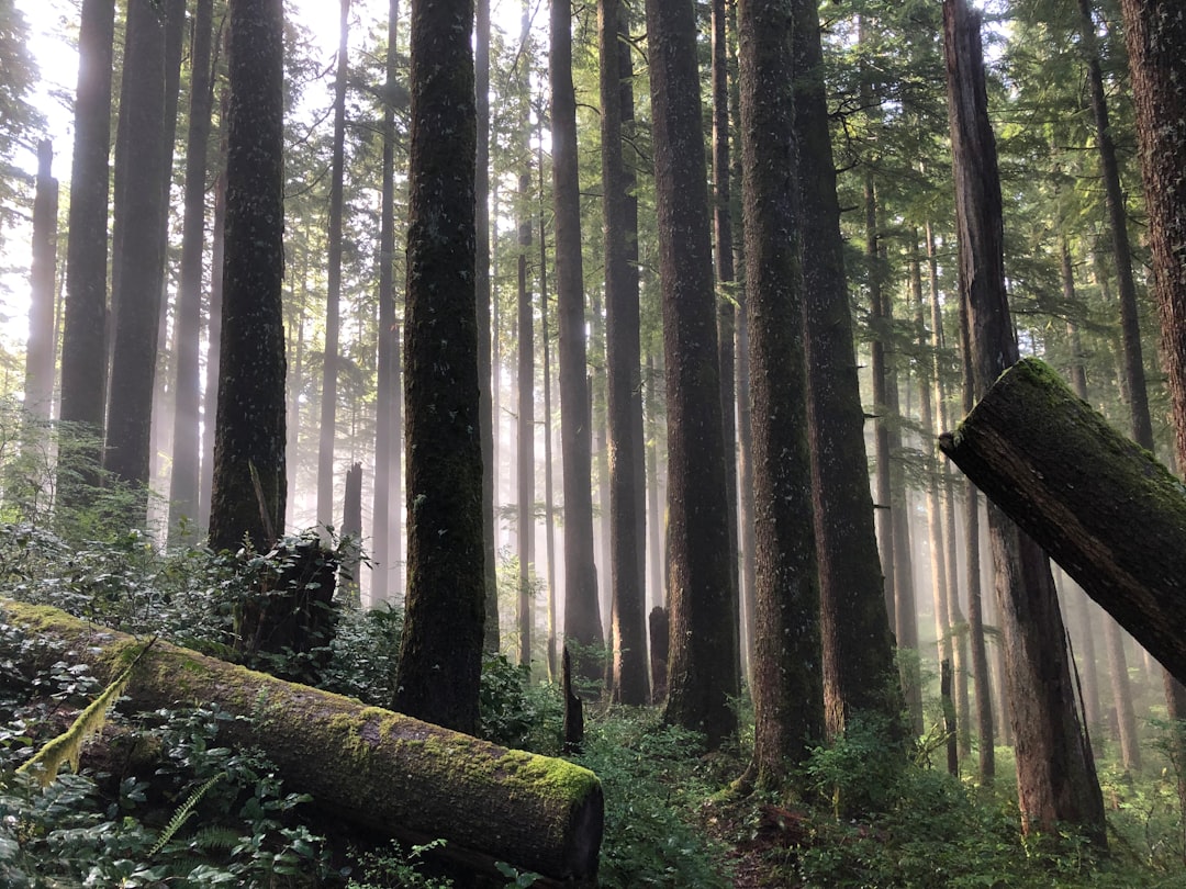 Evidence You Can See (Image Credits: Unsplash)