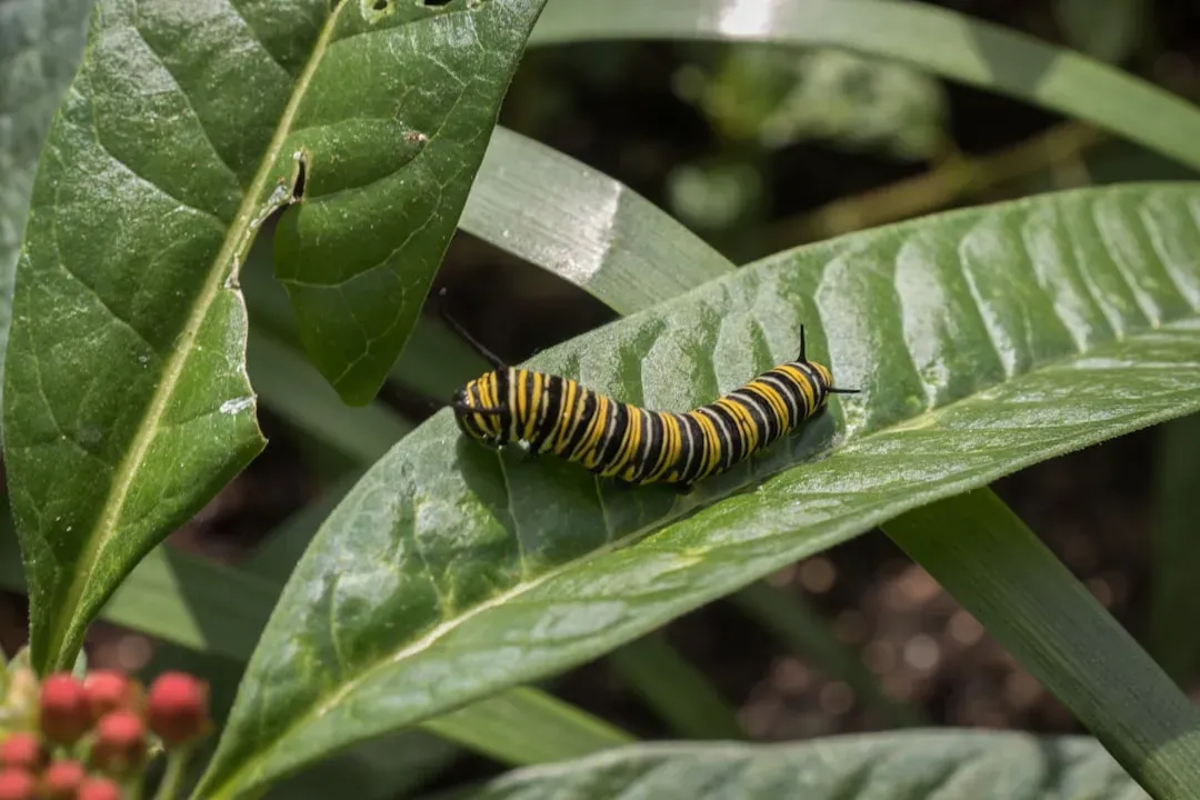 How Plants Attack First – And Force the Arms Race (Image Credits: Unsplash)