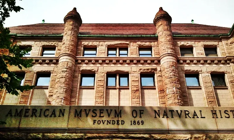#5 - The American Museum of Natural History's Vanishing Halls (By Gigi alt, CC BY-SA 3.0)