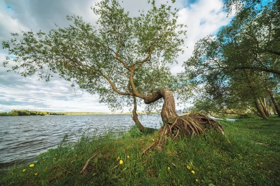 Natural Forces: Wind, Snow, Gravity, and Soil (Image Credits: Pexels)