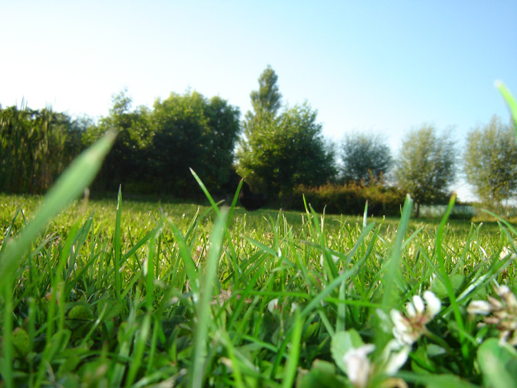 Conclusion (Image Credits: Flickr)