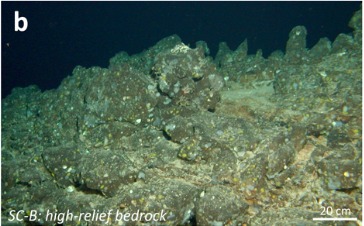 The Hidden Clues (Image Credits: Wikimedia)