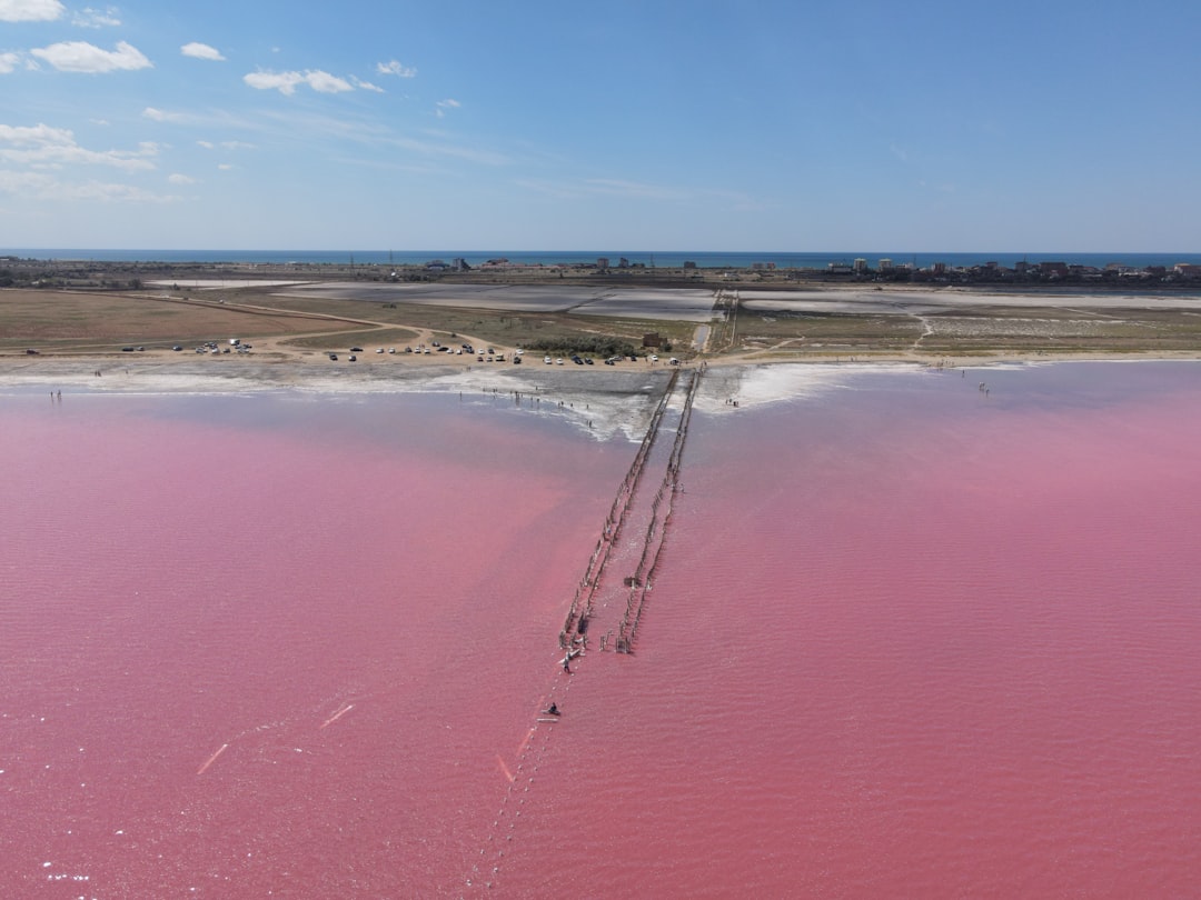 When Pink Lakes Lose Their Color (Image Credits: Unsplash)