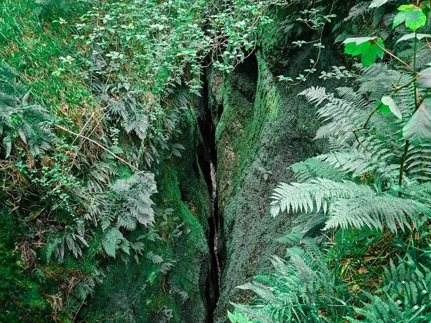 Menominee Crack: When the Forest Floor Suddenly Ripped Open (Image Credits: Pexels)