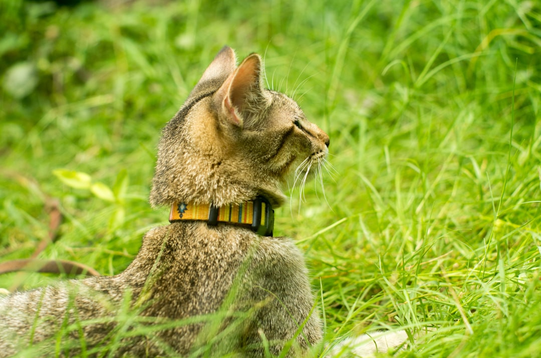 Revolutionary Sensor Studies (Image Credits: Unsplash)