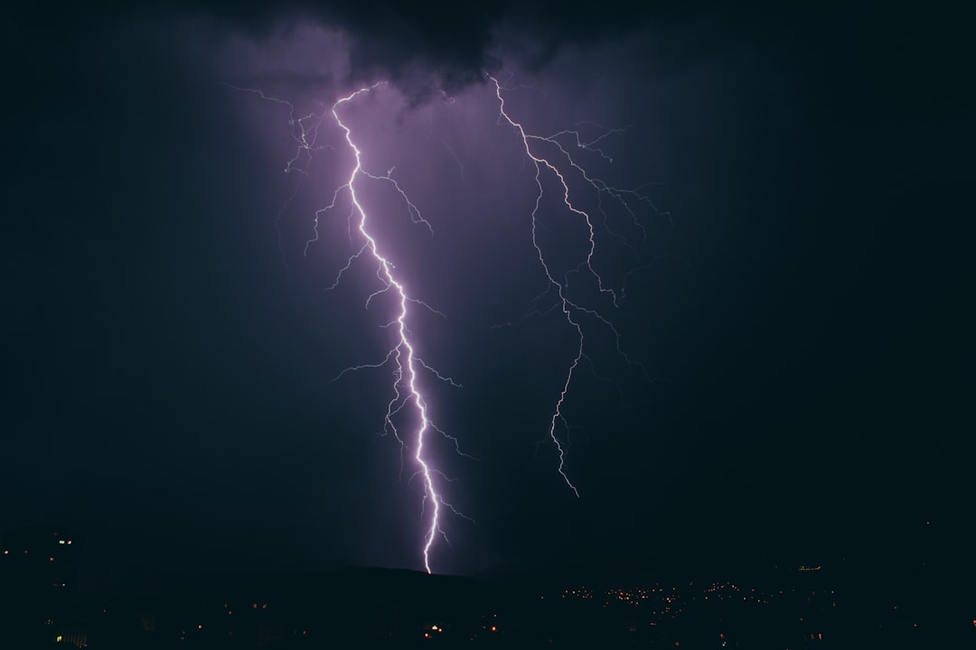 The Hidden Clues (Image Credits: Unsplash)