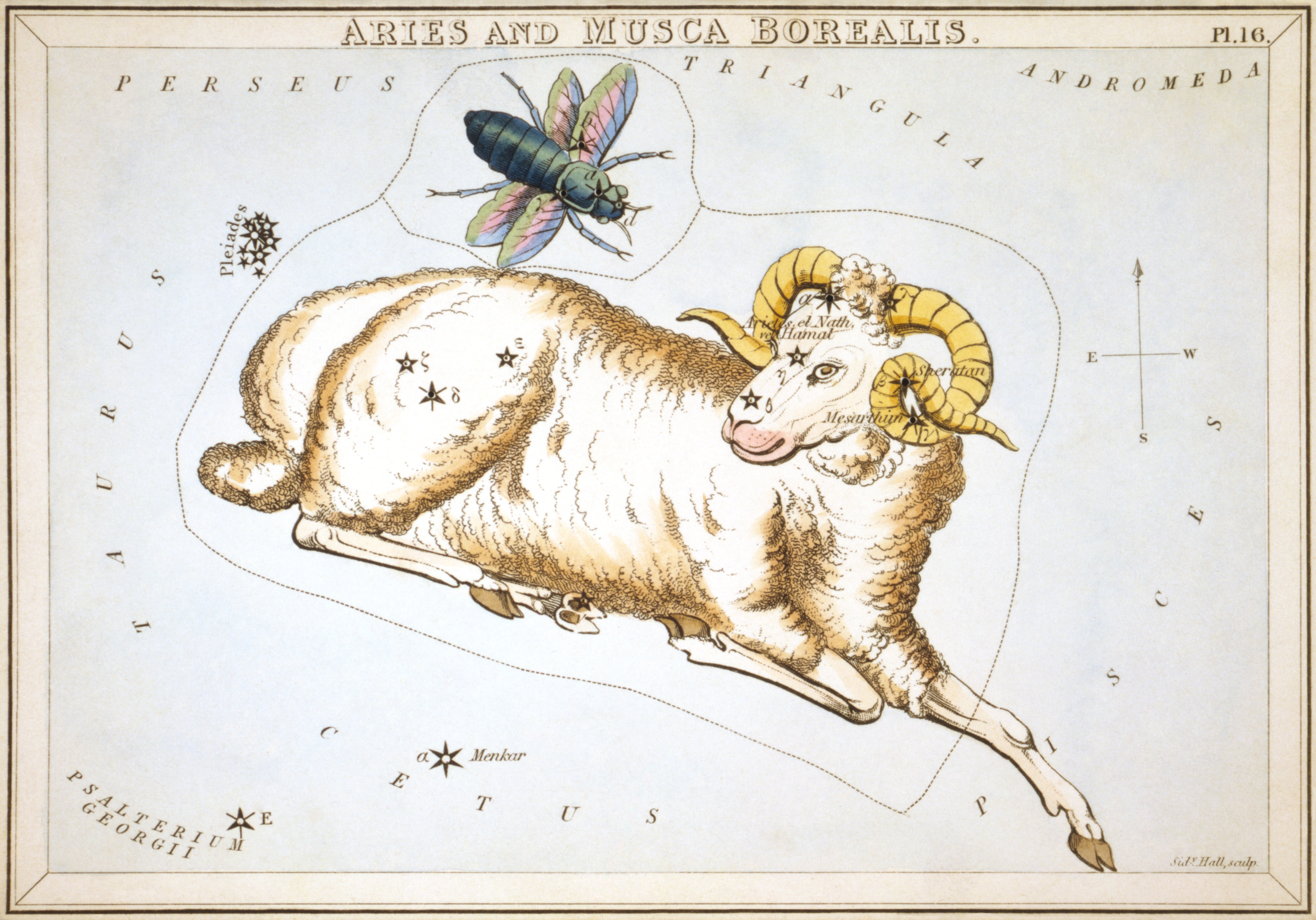 Aries: The Greek Foundation of Western Astrology (Image Credits: Wikimedia)