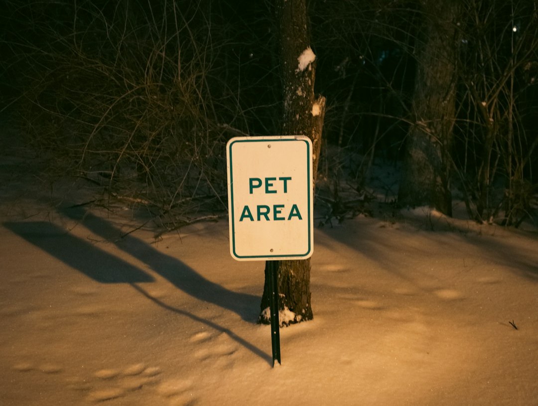 Global Perspectives (Image Credits: Unsplash)