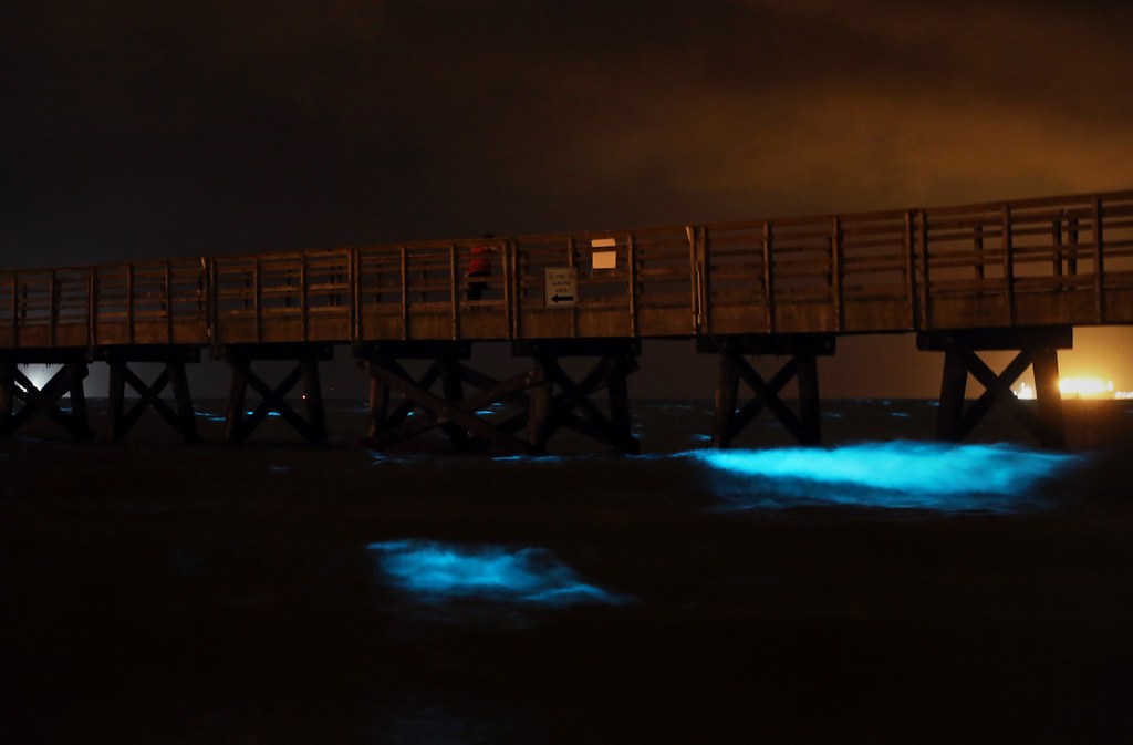 Communication Through Light in Dark Waters (Image Credits: Flickr)