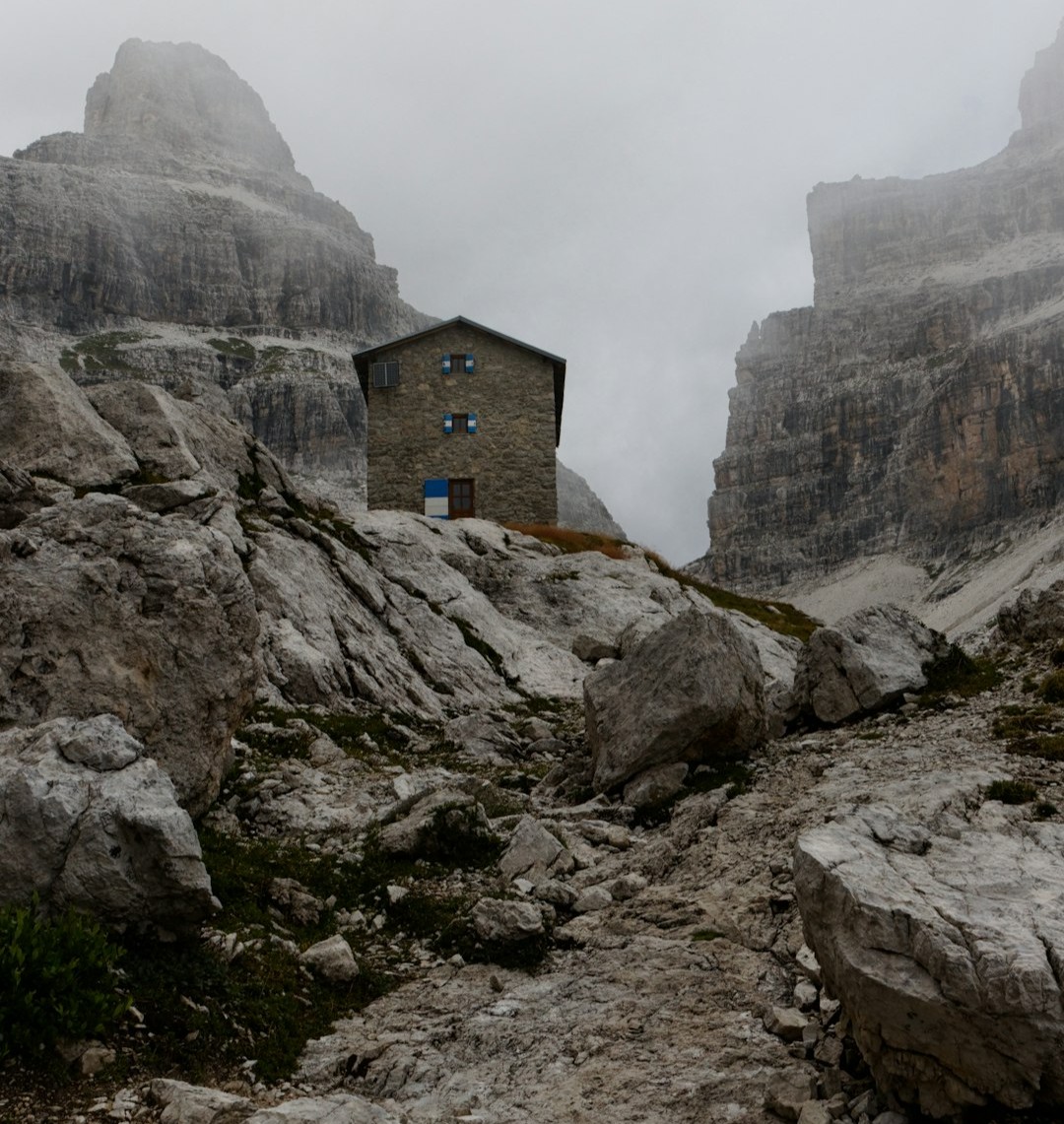 Earth Signs: Steady Tactics and Shelter (Taurus, Virgo, Capricorn) (Image Credits: Unsplash)